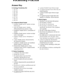 Ch 5 Vocab Practice Db excel