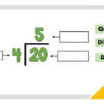 Division Vocabulary Worksheet