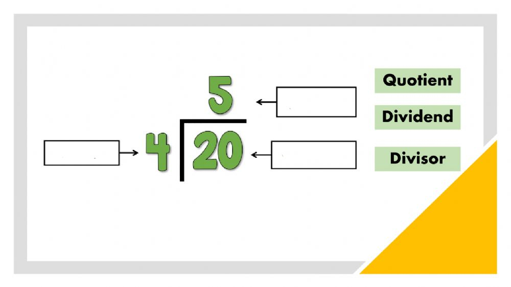 Division Vocabulary Worksheet