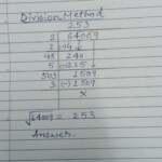 Find The Square Root By The Division Method 64009 Brainly in