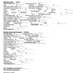 Form Dwsp 2443 Household Budget Worksheet For Wisconsin Works W 2