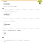 Identify Lines And Parts Of Lines Worksheet Turtle Diary
