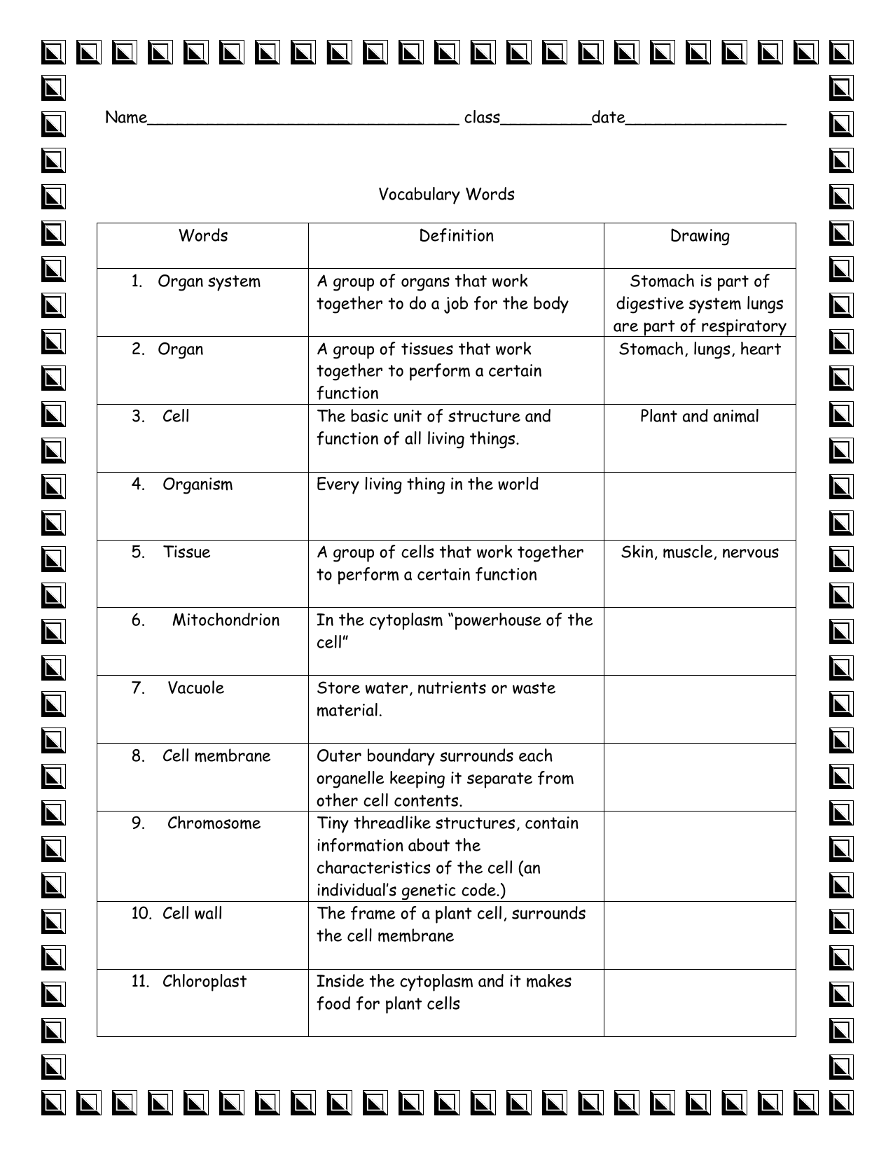 Answer Key Cells Vocabulary Graphic Organizer