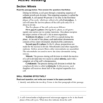 Cell Division Reading Comprehension Worksheet Mitosis And Meiosis