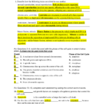 Chapter 10 Cell Growth And Division Worksheet Answer Key Db excel