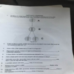 Get Answer On Figure 12 1 Below Identify The Sister Chromatids By